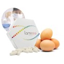 Laminine voedingssupplement 30 capsules